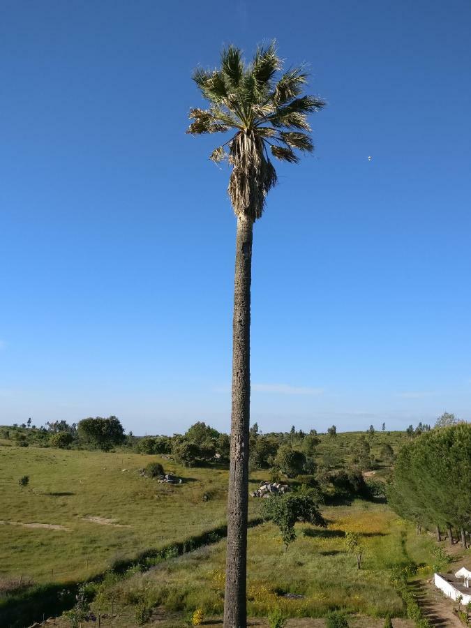 Quinta Da Abrunheira - Gustavo Eiffel Guest House Ciborro Eksteriør bilde