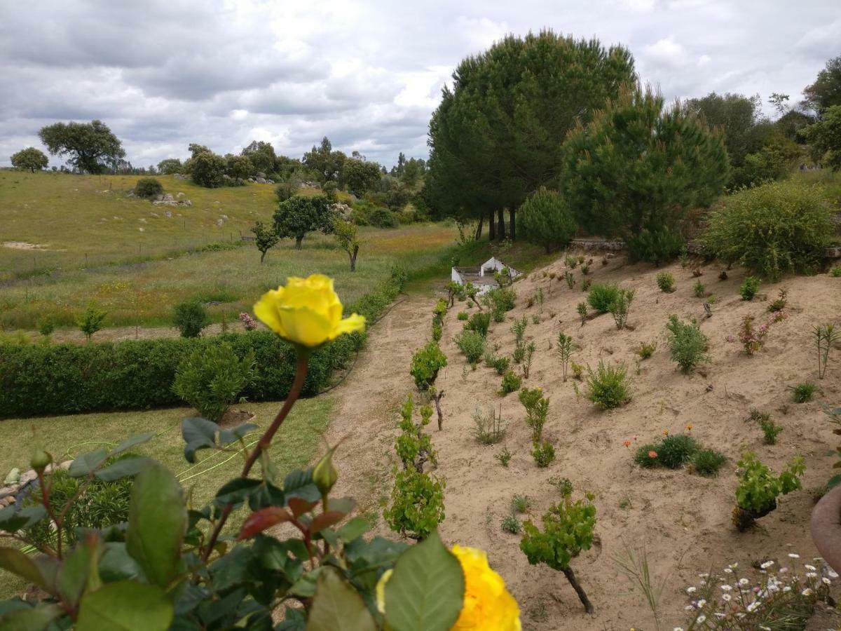 Quinta Da Abrunheira - Gustavo Eiffel Guest House Ciborro Eksteriør bilde